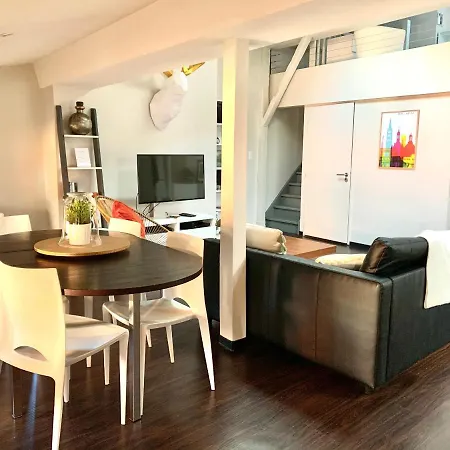 L'esquirol - Duplex Design En Hypercentre Apartment Toulouse