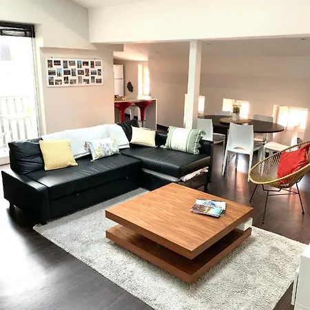 L'esquirol - Duplex Design En Hypercentre تولوز